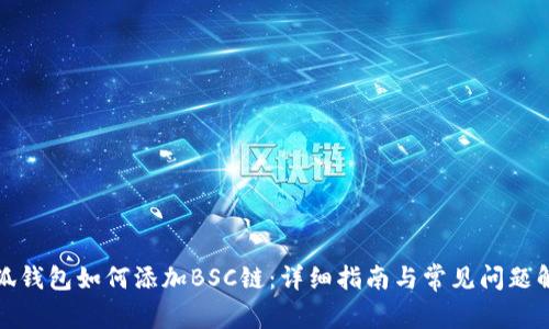 小狐錢(qián)包如何添加BSC鏈：詳細指南與常見(jiàn)問(wèn)題解答