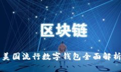 美國流行數字錢(qián)包全面解