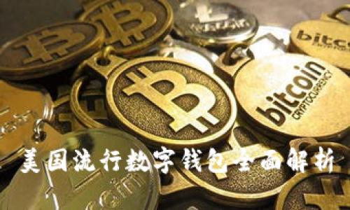美國流行數字錢(qián)包全面解析