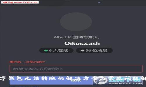 數字錢(qián)包無(wú)法轉賬的解決方案與常見(jiàn)問(wèn)題解析