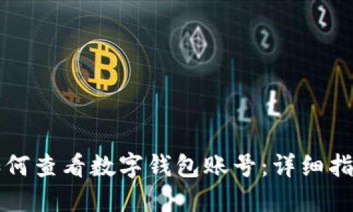 如何查看數字錢(qián)包賬號：詳細指南