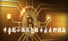 中本聰小狐錢(qián)包提幣后質(zhì)