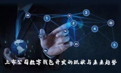 上市公司數字錢(qián)包開(kāi)發(fā)的