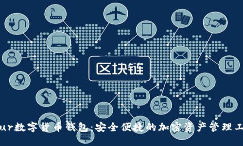 Blur數字貨幣錢(qián)包：安全便捷的加密資產(chǎn)管理工具