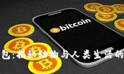 狐貍偷錢(qián)包：揭秘動(dòng)物與人類(lèi)生活的奇妙互動(dòng)