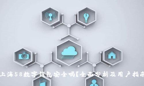 上海58數字錢(qián)包安全嗎？全面分析及用戶(hù)指南