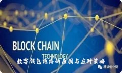 數字錢(qián)包跑路的原因與應