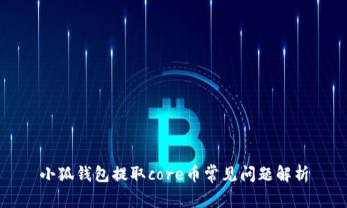 小狐錢(qián)包提取core幣常見(jiàn)問(wèn)題解析
