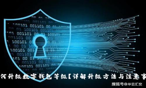 如何升級數字錢(qián)包等級？詳解升級方法與注意事項