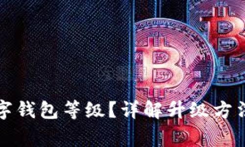 如何升級數字錢(qián)包等級？詳解升級方法與注意事項