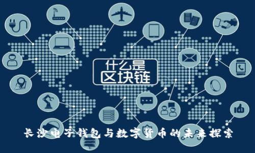 長(cháng)沙電子錢(qián)包與數字貨幣的未來(lái)探索