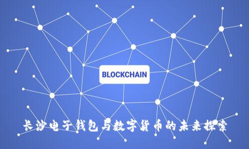 長(cháng)沙電子錢(qián)包與數字貨幣的未來(lái)探索