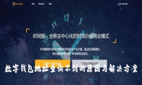 數字錢(qián)包地址查詢(xún)不到的原因與解決方案