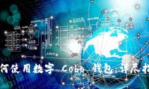 如何使用數字 Cobo 錢(qián)包：詳盡指南
