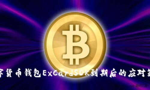 數字貨幣錢(qián)包ExCardSDK到期后的應對策略