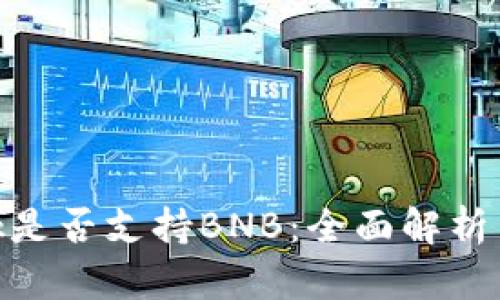 MetaMask是否支持BNB：全面解析與用戶(hù)指南