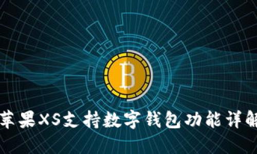 蘋(píng)果XS支持數字錢(qián)包功能詳解