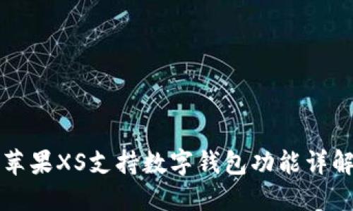 蘋(píng)果XS支持數字錢(qián)包功能詳解