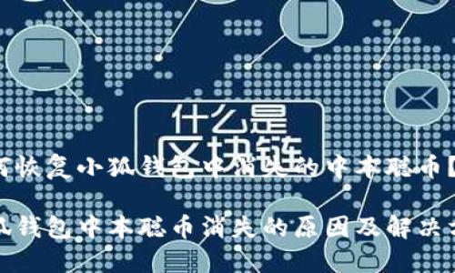 如何恢復小狐錢(qián)包中消失的中本聰幣？

小狐錢(qián)包中本聰幣消失的原因及解決方案