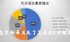 小狐錢(qián)包里的幣消失了怎么辦？詳解找回方法