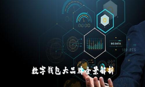 數字錢(qián)包大品牌全景解析