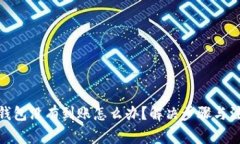 : 小狐錢(qián)包沒(méi)有到賬怎么辦？解決步驟與注意事項
