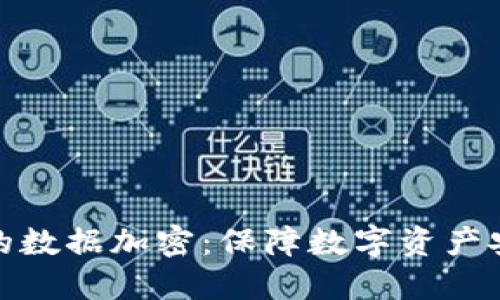 電子錢(qián)包的數據加密：保障數字資產(chǎn)安全的關(guān)鍵