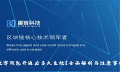 數字錢(qián)包開(kāi)通后多久生效？全面解析與注意事項