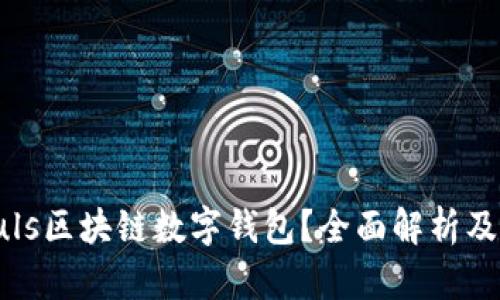 什么是Puls區塊鏈數字錢(qián)包？全面解析及應用前景