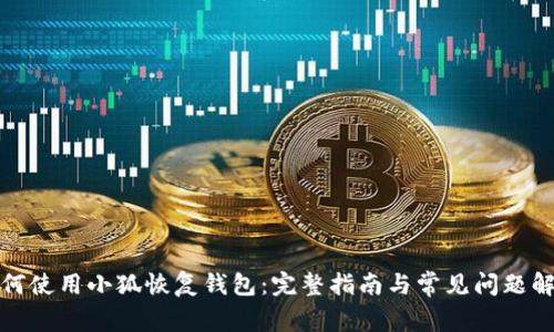 如何使用小狐恢復錢(qián)包：完整指南與常見(jiàn)問(wèn)題解答