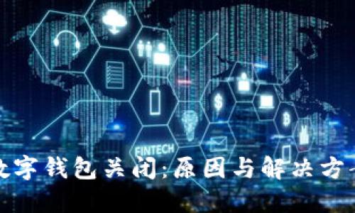 農行數字錢(qián)包關(guān)閉：原因與解決方案詳解