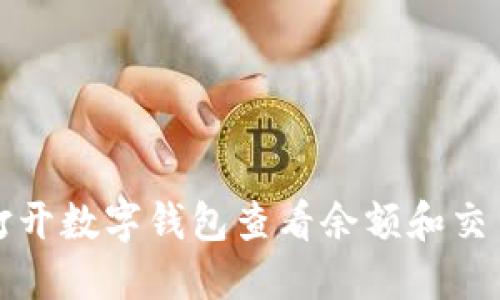 如何打開(kāi)數字錢(qián)包查看余額和交易記錄