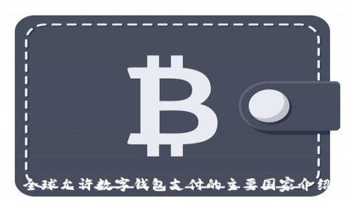 全球允許數字錢(qián)包支付的主要國家介紹