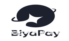 : 數字錢(qián)包的網(wǎng)絡(luò )依賴(lài)性分