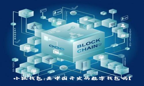 小狐錢(qián)包：是中國開(kāi)發(fā)的數字錢(qián)包嗎？