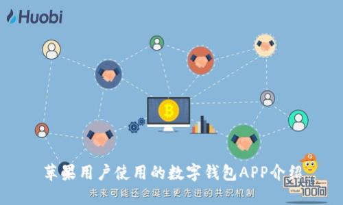 蘋(píng)果用戶(hù)使用的數字錢(qián)包APP介紹