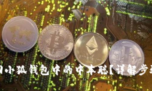 如何找回小狐錢(qián)包中的中本聰？詳解步驟與技巧