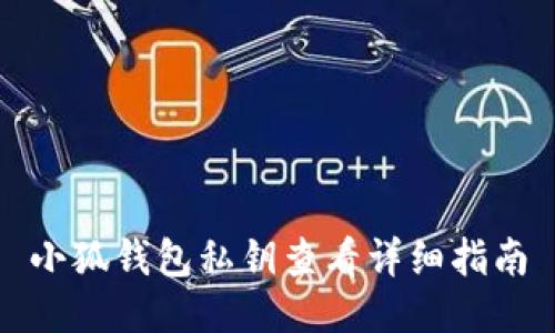 小狐錢(qián)包私鑰查看詳細指南