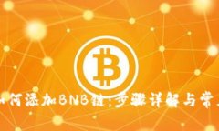 小狐錢(qián)包如何添加BNB鏈：步驟詳解與常見(jiàn)問(wèn)題解