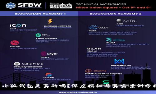  小狐錢(qián)包是真的嗎？深度揭秘與真實(shí)案例分析