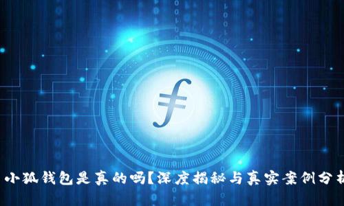  小狐錢(qián)包是真的嗎？深度揭秘與真實(shí)案例分析