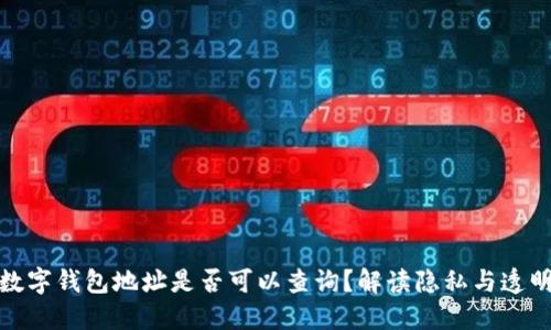 數字錢(qián)包地址是否可以查詢(xún)？解讀隱私與透明