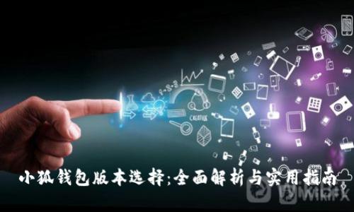 小狐錢(qián)包版本選擇：全面解析與實(shí)用指南