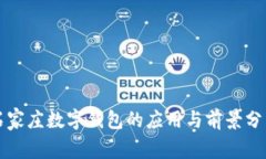 石家莊數字錢(qián)包的應用與