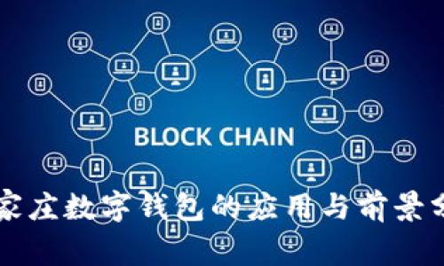 石家莊數字錢(qián)包的應用與前景分析