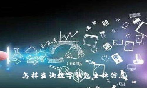 怎樣查詢(xún)數字錢(qián)包主體信息