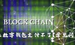 為什么數字錢(qián)包支付不了