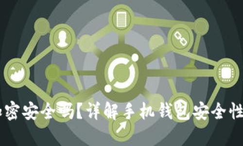 手機錢(qián)包加密安全嗎？詳解手機錢(qián)包安全性的方方面面