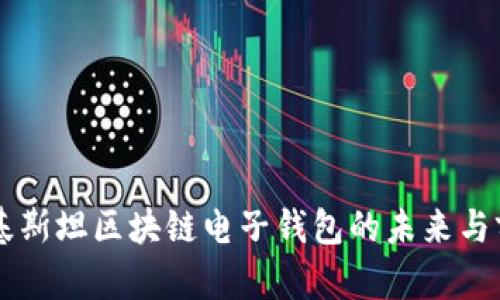巴基斯坦區塊鏈電子錢(qián)包的未來(lái)與前景
