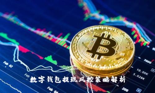 數字錢(qián)包提現風(fēng)控策略解析